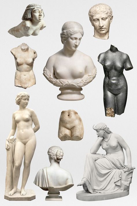 Greek Sculptures, Female Statue, Female Sculpture, Exhibition Models, Flash Ideas, Anatomy Sculpture, Roman Statue, Classic Sculpture, Cement Art