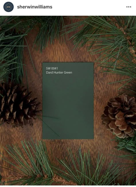 Dard Hunter Green, Sherwin Williams Paint, Color Of The Month, Green Paint Colors, Brown Bedroom, Bedroom Green, Paint Colors For Home, Green Paint, Dark Color