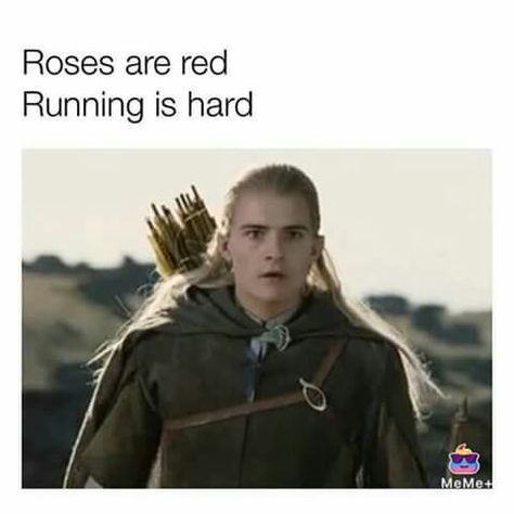 They're taking the hobbits to Isengard! Taking The Hobbits To Isengard, Lotr Funny, Anne Taintor, 9gag Funny, Into The West, Meme Comics, Roses Are Red, Thranduil, Legolas