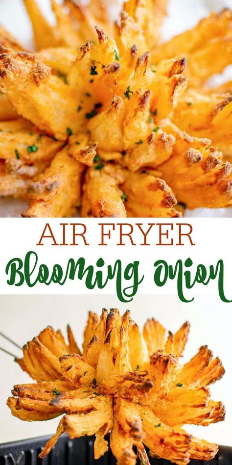 Blooming Onion Recipe Air Fryer, Grilled Blooming Onion Recipe, Homemade Horseradish Sauce, Air Fryer Blooming Onion, Blooming Onion Recipe, Blooming Onion Recipes, Homemade Horseradish, Recipe Air Fryer, Restaurant Appetizers