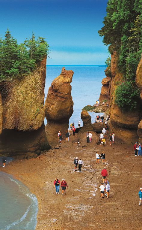 Fundy National Park  | Travel | Vacation Ideas | Road Trip | Places to Visit | Alma | NB | Government Building | National Park | Nature Reserve | Beach East Coast Canada, Fundy National Park, September Art, Canadian Road Trip, Government Building, Bay Of Fundy, Road Trip Places, East Coast Travel, National Park Travel