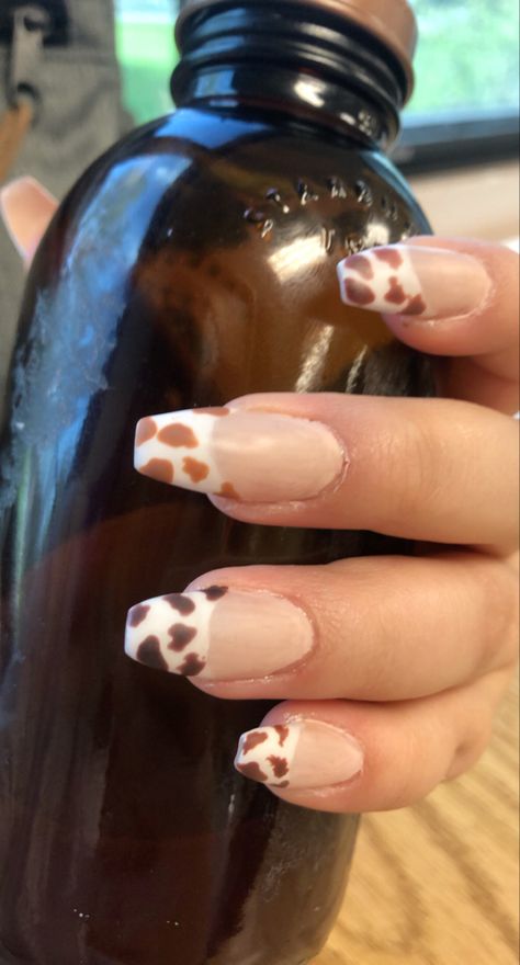 Print French Nails, Brown Cow Print, Brown Cow, French Tip Nails, Cow Print, French Nails, Nail Tips, Reusable Water Bottle, Cow