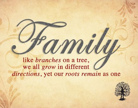 strong-love                                                       … Sayings About Family, Famous Quotes About Family, Roots Quotes, Family Quotes Strong, Best Family Quotes, Family Quotes Tattoos, Quotes About Family, Bible Quotes About Love, Family Unity