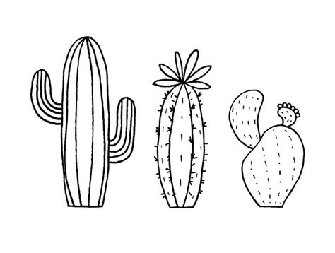 Cactus Line Art, Tattoo Cactus, Cactus Outline, Cactus Doodle, Rose Stencil, Cactus Tattoo, Cactus Drawing, Procreate Ipad Art, Cactus Art