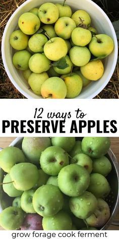 Apple season is here and there are so many ways to preserve the fall harvest to enjoy long after the last apple has fallen from the tree! Canning and freezing are two popular methods, but there are so many delicious recipes you can make to preserve apples including butter, jam, cider and so much more! Click for my 12 favorite real food recipes and methods to preserve apples this fall season. #canning #preserving #apples #fall #fallharvest #realfood #traditionalfood #fallrecipes #autumn Apples Canning, Apple Recipes For Canning, Granny Smith Apples Recipes, Preserve Apples, Green Apple Recipes, Preserving Apples, Canning Apples, Freezing Apples, Golden Delicious Apple