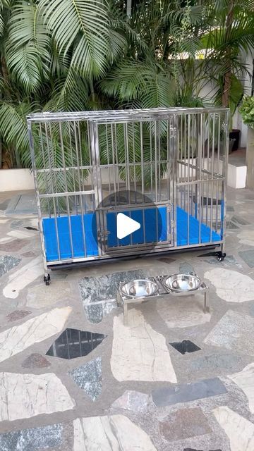 Clement Navin on Instagram: "New SS - L4×B3×H3 ft dog cage with new design. Shipping available all over India. Dm @clekar_inc to know more about the product.   #dogcage #dogcrate #dogaccessories #dogproducts #dogproblems #dogprotection #doginfluencer #doginfluencer #trending #trendingreels #trend #chennai #india #clekarsiberians" Dog Cage Ideas, Dog Cage, Gold Dog Crate, Dog Cage Top, Impact Dog Crate, Cage For Big Dogs, Wire Dog Crates, Dog Cages, Dog Crate