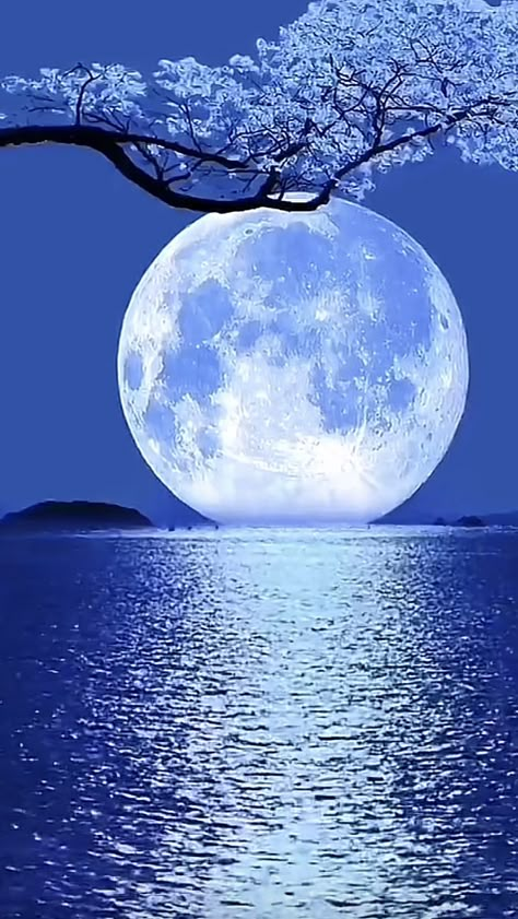 Moon And Sun Aesthetic, Moonlight Images, Blue Moon Wallpaper, Beautiful Moon Images, Blue Full Moon, Full Blue Moon, Moon Wallpapers, Beautiful Paintings Of Nature, Beautiful Moon Pictures