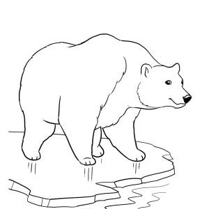 Polar Bear Coloring Pages, Polar Bear Coloring Page, Polar Bear Color, Polar Bear On Ice, Polar Bear Drawing, Bear Template, Urs Polar, Fathers Day Coloring Page, Kindergarten Coloring Pages