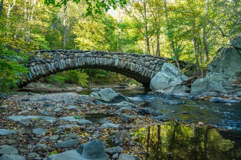 Learn about Rock Creek Park including recreational activities and major sites such as the Rock Park Nature Center, Carter Barron Amphitheater and more. Washington Dc Tours, Beach Drive, Colorful Mountains, Potomac River, Dc Travel, Rock Creek, Shenandoah National Park, Stone Bridge, Washington Monument