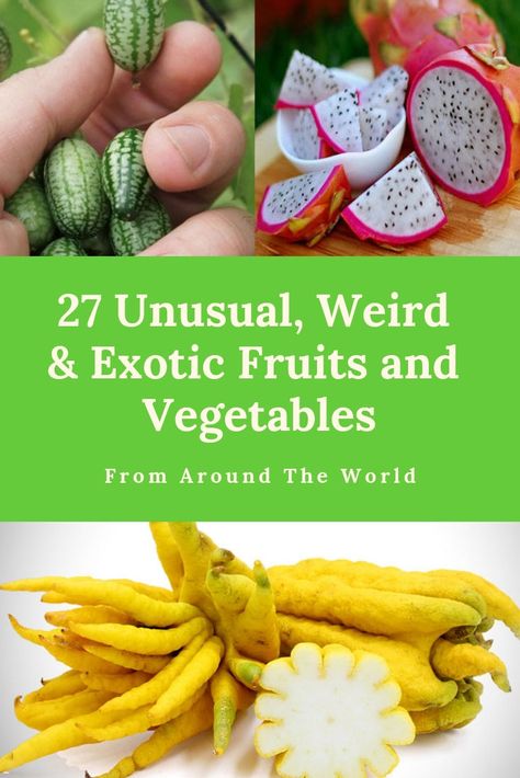 27 Unusual, Weird & Exotic Fruit and Vegetables You Can Buy!  Discover some of the most unique Exotic Fruit and Vegetables that you can buy from all around the world, Check our exotic fruit & vegetable list! Unusual Vegetables To Grow, Unusual Vegetables, Vegetable List, Unusual Fruits, Veggies Garden, Weird Fruit, Food From Different Countries, Garden Companion Planting, List Of Vegetables