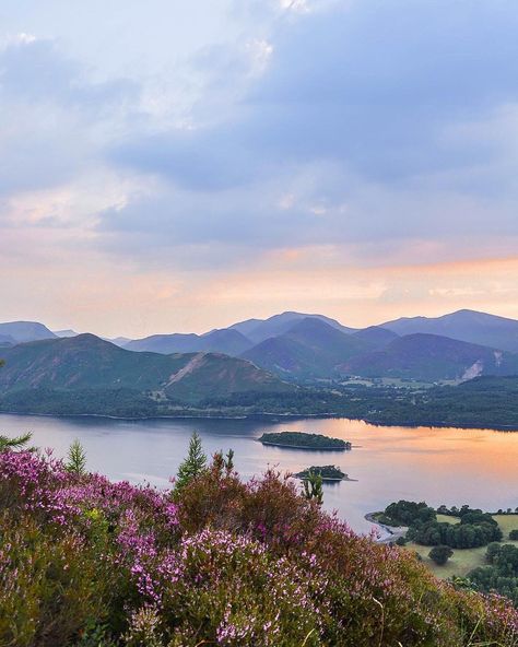 Derwentwater Sunset ... Lake District, Cumbria, England Lake District England Windermere, Nature Aesthetic Pictures, Sunset Lake, Pretty Landscapes, Photosynthesis, To Infinity And Beyond, Nature Aesthetic, Lake District, Pretty Places