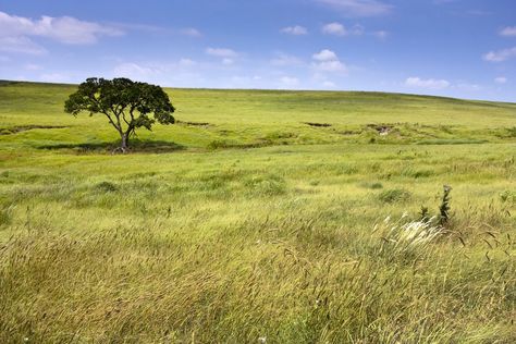 The Best Scenic Byway Road Trips in the United States Tallgrass Prairie National Preserve, Tallgrass Prairie, Escalante National Monument, Ocracoke Island, Grand Marais, Beautiful Roads, Capitol Reef National Park, Scenic Byway, Incredible Places