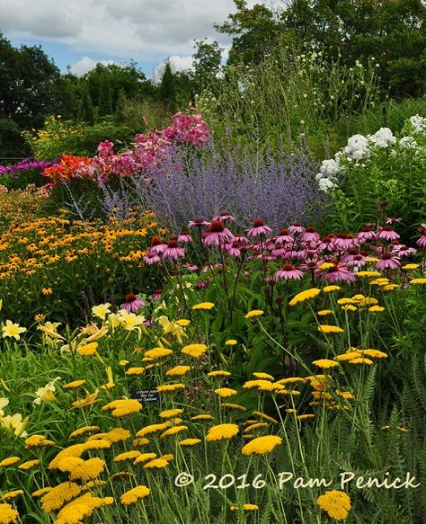 Minnesota Landscape Arboretum: Minneapolis Garden Bloggers Fling | Digging Minnesota Garden, Pollinator Garden Design, Native Plant Landscape, Minnesota Landscape, Minnesota Landscaping, Garden Design Layout, Flower Garden Design, Garden Artwork, Pollinator Garden