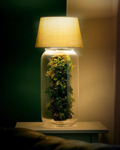 Lamp Terrarium, Moss Jar, Terrarium Lamp, Terrarium Table, Closed Terrarium Plants, Closed Terrarium, Recycled Lamp, 3d Metal Art, ليلو وستيتش