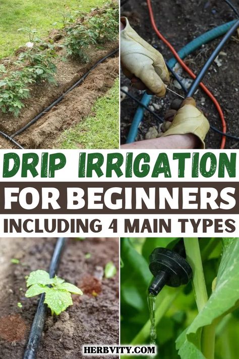 There are 4 main types of drip irrigation systems: emitter, tape, micro and soaker hoses. Each has its own benefits to consider when choosing the right one for your garden or flower bed. This guide will help you understand what each of these is about so that you can make an informed decision about which method is best for your situation. Drip Irrigation System Design, Soaker Hose Irrigation, Raised Bed Garden Layout, Raised Beds Diy, Irrigation System Diy, Irrigation Diy, Drip Irrigation Diy, Irrigation Methods, Growing Vegetables At Home