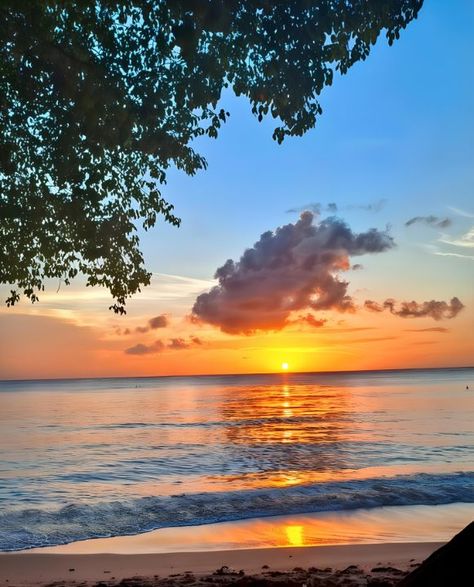 Caribbean Sunset Bliss - Caribbean Canvas Caribbean Sunset, Tropical Home Decor, The Setting Sun, Sunset Sea, Powerful Art, Setting Sun, Tropical Landscaping, Immersive Experience, Tropical Paradise