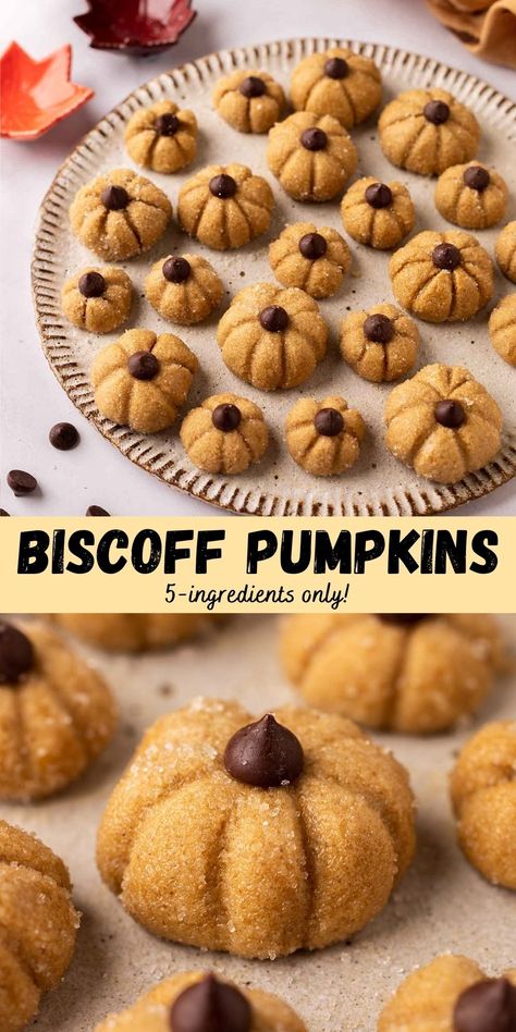 These biscoff pumpkins are adorable snacks and cake/cupcake toppers for Fall/Autumn or Halloween! They consist of a three-ingredient biscoff truffle and are fun to make. Biscoff Vegan Recipes, Biscoff Pumpkins, Halloween Pumpkin Cupcakes, Vegan Halloween Snacks, Vegan Halloween Desserts, Halloween Truffles, Halloween Styling, Biscoff Cupcakes, Pumpkin Butterscotch