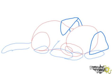 How to Draw a Sleeping Dog - Step 6 Sleeping Puppy Drawing, Dog Laying Down Drawing, Dog And Human Drawing, Puppies Sketch, Pose Perspective, Drawing Video Tutorial, Dog Drawing Tutorial, Sleeping Drawing, Drawing Steps