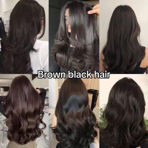 Brown Black Hair Color, Best Haircuts For Women, Brown Black Hair, Long Shiny Hair, Dark Brunette Hair, Brown Hair Looks, Brown Hair Inspo, Hair Tint, Best Haircuts