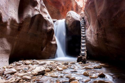 5 Family Friendly Hikes near Cedar City Utah Summer Bucket List, Utah Shakespeare Festival, Utah Vacation, Utah Adventures, Utah Hikes, Cedar City, Utah Travel, Fall Hiking, Outdoor Fun