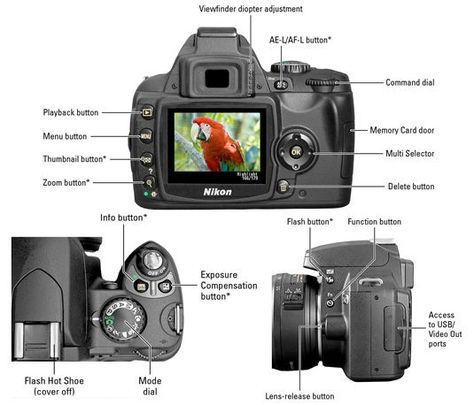 Nikon D40/D40X For Dummies  I'm placing this in my camera case. Nikon D40, Manual Photography, Aesthetic Sense, Photography Cheat Sheets, For Dummies, Google Adwords, Photography Lessons, Learning Photography, Camera Nikon