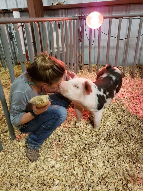 Enough kisses to go around❤ #kisses #pigLife #FFA Pig Show Hairstyles, Ffa Outfits, Ffa Aesthetic, Pig Livestock, Ffa Pictures, Showing Pigs, Livestock Showing, Pig Pics, Pig Showing