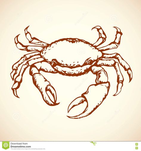 Crab Stock, Crab Cartoon, Crab Illustration, Ocean Drawing, Crab Art, Crab Claw, Drawing Hair Tutorial, Sketchbook Cover, Drawing Clipart