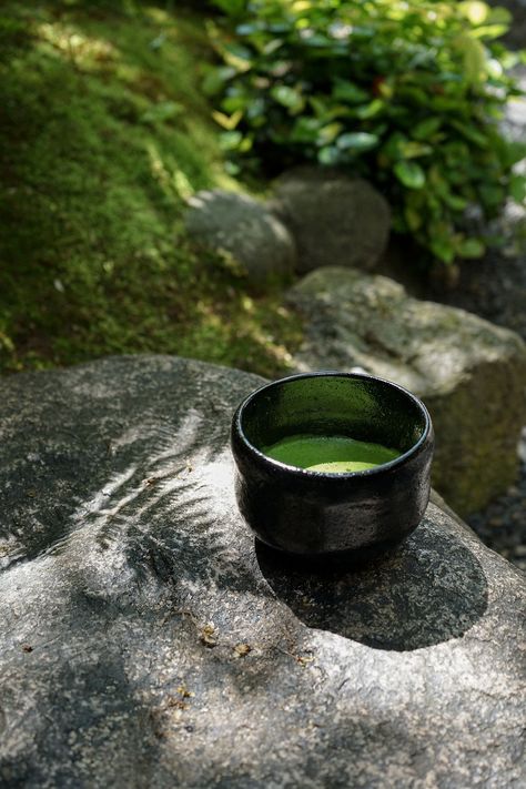 Ceremonial Japanese Matcha tea (Usucha). Matcha Ceremonial, Japanese Tea Aesthetic, Japanese Matcha Tea, Japanese Matcha, Tea Companies, Matcha Tea, Japanese Tea, Matcha, Tea