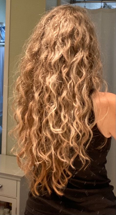 Vacation Hairstyles, Hairstyles 2024, Viral On Tiktok, Blonde Curly Hair, Natural Wavy Hair, Hair Appointment, Wavy Curly Hair, Going Viral, Hair Curly