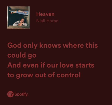 Niall Horan Heaven Lyrics, Heaven Niall Horan, Niall Horsn, Niall Horan Lyrics, Spotify Aesthetic, Aesthetic Lyrics, Irish Princess, Losing My Mind, Niall Horan