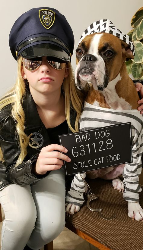 Service Dog Halloween Costumes, Dog Prisoner Costume, 3 Dog Halloween Costumes, Costume Ideas With Your Dog, Dogs Halloween Costumes Diy, Pet Halloween Costumes Matching, Dog Police Costume, Dog Costumes Matching Owner, Halloween Costumes Women And Dog