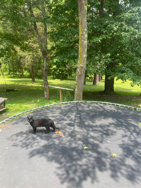 Aesthetic Trampoline, Trampoline Aesthetic, Backyard Trampoline, Mini Trampoline, Visual Aid, Aesthetic Cat, Dream House Rooms, Book Book, Ghost Town