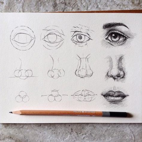 Artist Shares Drawing Tips in Educational Step-by-Step Tutorials Realistic Eye Drawing, Eye Drawing Tutorials, Drawing Eyes, Nose Drawing, Illustrator Design, Drawing Faces, Ink Drawings, Drawing Tutorials, Realistic Drawings