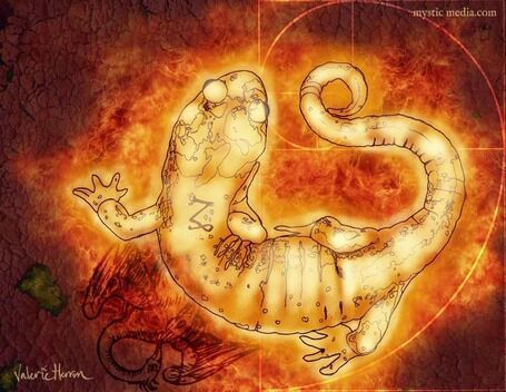 Salamander Aesthetic, Hel Goddess, Fire Salamander, Drawing Fire, Salamanders, Alchemy Symbols, Fire Element, Poster Size Prints, Gothic House