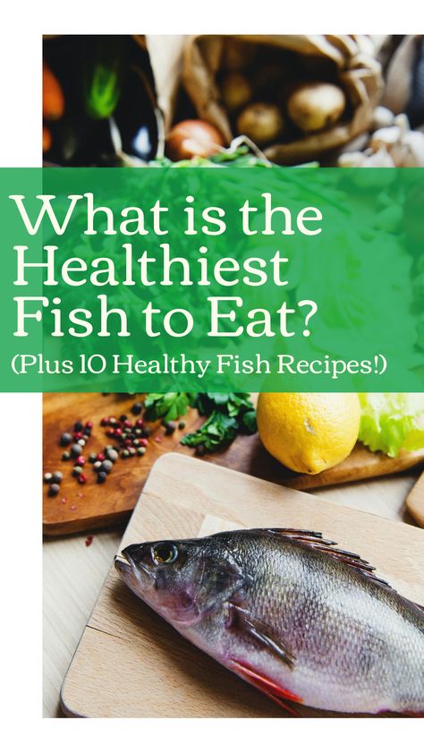 Oily Fish Recipes, Best Fish To Eat, Healthiest Fish, Healthy Fish Recipes, Fish To Eat, Oily Fish, Healthy Tuna Salad, Cucumber Bites, Cleaning Fish