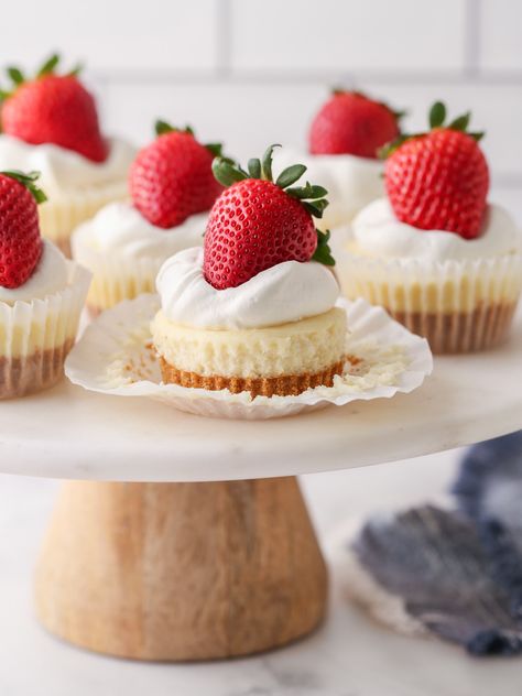 Mini Individual Cheesecakes, Southern Coconut Cake Recipe, No Bake Mini Cheesecake, Southern Coconut Cake, Cheesecake Minis, Coconut Layer Cake, Baked Graham Cracker Crust, Small Cheesecakes, Coconut Cream Cheese