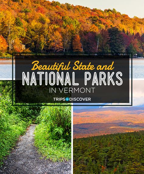 Vermont is a state for outdoor enthusiasts, with its green forests, peaceful meadows, and inspiring landscapes. And these are our favorite parks to check out on your next visit. Vermont State Parks, Vermont Travel, Gorges State Park, Inspiring Landscapes, Homeschool Field Trips, Getting Outside, New England Road Trip, East Coast Road Trip, Tent Site