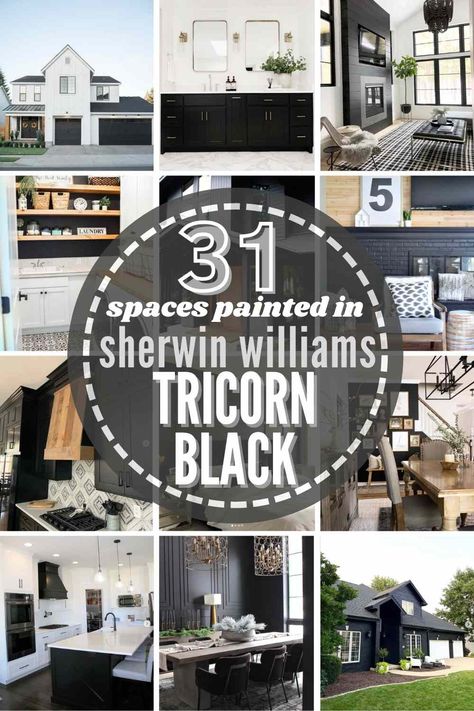 Iron Ore Vs Tricorn Black Exterior, Sherwin Williams Black Door Paint, Black Trim Interior Kitchen, Sherwin Williams Tricorn Black Door, Paint Door And Trim Same Color, Tricorn Black Office, Tricorn Black Fireplace Wall, Tricorn Black Sherwin Williams Fireplace, Tricorn Black Sherwin Williams Bedroom