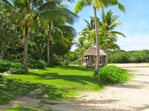 Natadola Beach, Fiji Tropical Places, Sports Camp, White Sand Beach, Natural Environment, Places Ive Been, Places To See, Places To Travel, Gazebo, Places To Go