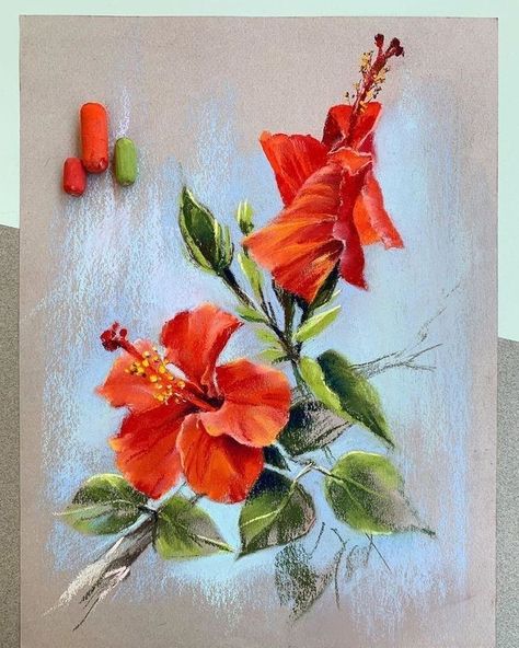 Soft Pastel Flowers Painting, Soft Pastel Art Flower, Soft Pastels Flowers, Dry Pastel Art, Dry Pastel Drawing, Oil Pastel Flowers, Pastel Drawing Ideas, Soft Pastel Flowers, Dry Pastels