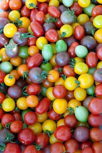 Heirloom Tomatoes are the big 'thing' right now. Just look at how many colours and shapes there are. Rose Bush Care, Tomato Color, Natural Pesticides, Japanese Beetles, Rose Care, Farm Fresh Eggs, Wonderful Flowers, Rose Bush, Heirloom Tomatoes