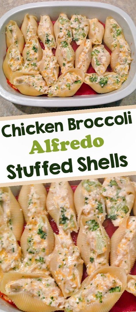 Chicken broccoli Alfredo stufffed shells are an easy family dinner. Double the recipe and freeze for an extra weeknight meal. Easy Alfredo, Alfredo Stuffed Shells, Chicken Alfredo Stuffed Shells, Chicken Broccoli Alfredo, Resep Pasta, Broccoli Alfredo, Pasta Shells, One Pot Dinners, Diner Recept