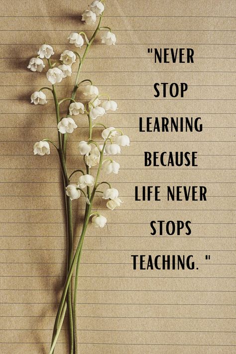 Never Stop Learning Because Life Never Stops Teaching, Lifelong Learning Quotes, Never Stop Learning Quotes, Never Stop Learning Because Life, Life Long Learning, Cherish Life Quotes, Daily Life Quotes, Cherish Life, Lifelong Learning