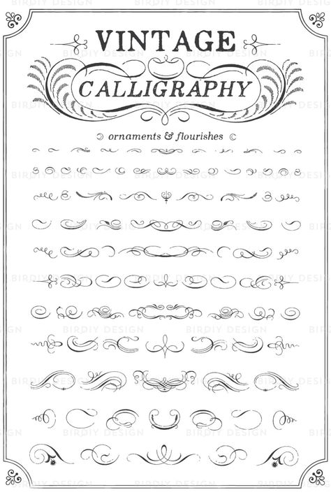 Filagree Drawings, Lettering Layout, Camp Projects, Vintage Calligraphy, Flourish Calligraphy, Boho Clipart, Calligraphy Fonts Alphabet, Whiskey Bottles, Chalk Design