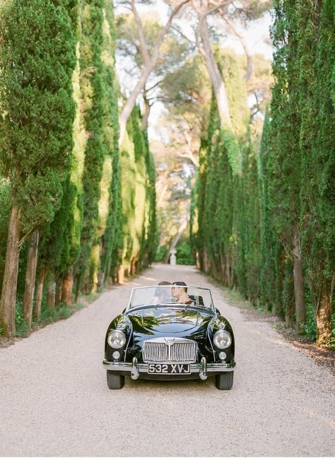 Elegant wedding idyll at Château Martinay Bride Editorial, French Wedding Venues, Whimsical Wedding Inspiration, Exquisite Gardens, French Castles, Chateau Wedding, Vintage Weddings, Antique Wedding, Vintage Inspired Wedding