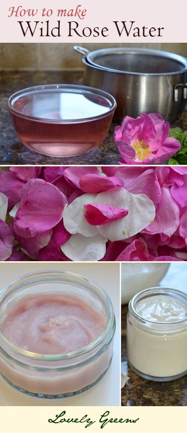 Toner Diy, Fresh Rose Petals, How To Make Rose, Diy Kosmetik, Face Creams, Body Creams, Diy Cosmetics, Body Butters, Beauty Remedies