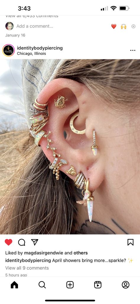 Pirate Piercings Aesthetic, Coin Slot Body Mod, Coin Slot Ear Piercing, Ear Punch Piercing, Stretched Ear Stack, Opal Ear Stack, Stacked Stretched Lobes, Cat Flap Piercing, Small Stretched Ears Aesthetic