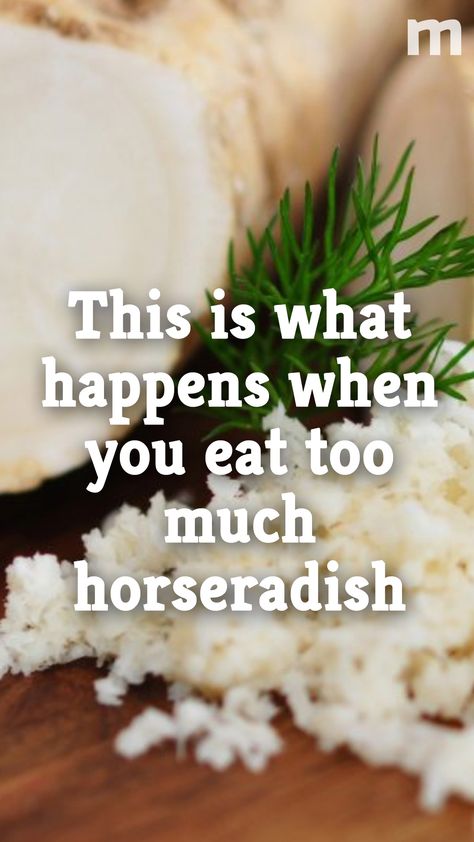 What can happen if you eat too much of this spicy, but oh so good, horseradish? #horseradish #foodnews #foodtips #foodfacts #stayhealthy #healthyeating Horseradish Uses, Recipes Using Fresh Horseradish, What To Do With Horseradish Root, Horseradish Root Recipes, Horseradish Potatoes, Horse Radish Recipes, Meals With Horseradish, Recipes That Use Horseradish, Fresh Horseradish Recipes