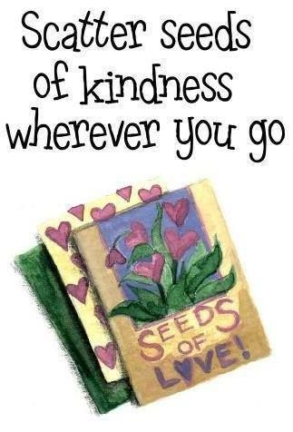 Scatter seeds of kindness wherever you go. Quotes Sunshine, Seeds Of Kindness, Scatter Kindness, Kindness Quote, Let It Grow, Sowing Seeds, Patience Quotes, Uplifting Thoughts, Teaching Quotes