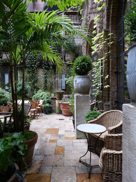 New York October Highlights - Greenwich Hotel, Terrace Garden Ideas, Hotel Garden, New York October, Rooftop Design, Backyard Balcony, Patio Inspiration, Rooftop Patio, Side Garden